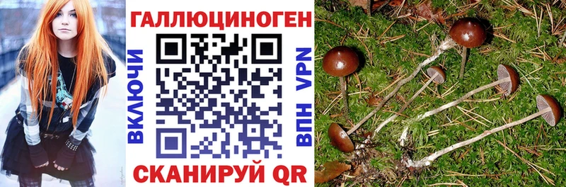 ОМГ ОМГ ССЫЛКА Наволоки Галлюциногенные грибы GOLDEN TEACHER купить наркоту